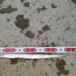 昨日に続いての釣行です‼